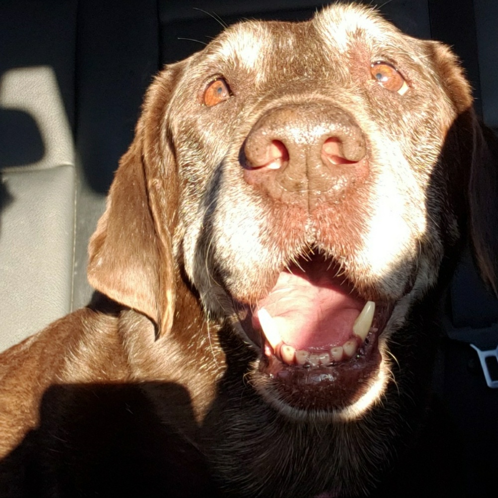 Meet your Posher, Brenda